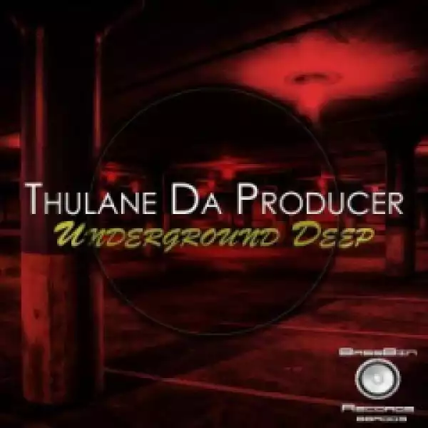 Thulane Da Producer - Thorn (Original Mix)